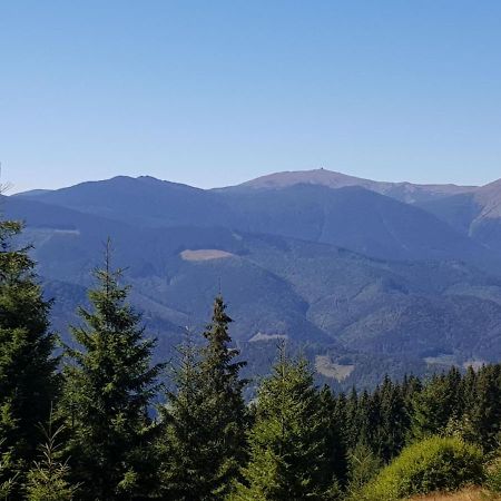 Міні Котедж Verkhovyna Exterior foto