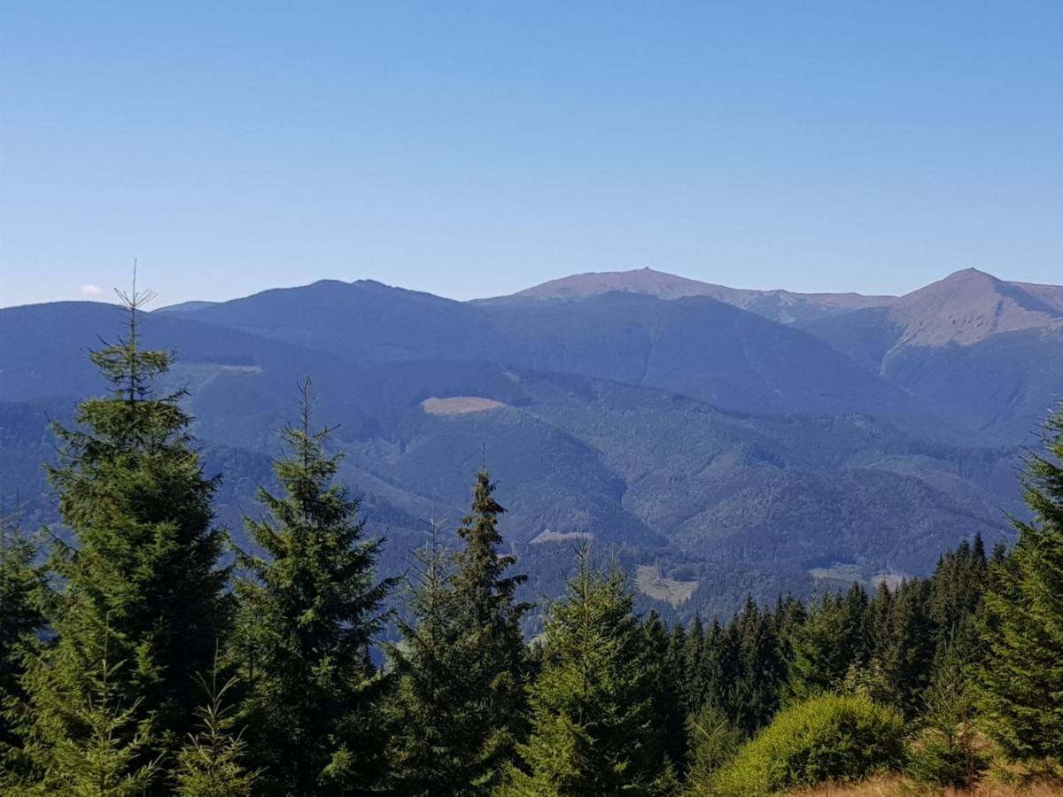 Міні Котедж Verkhovyna Exterior foto